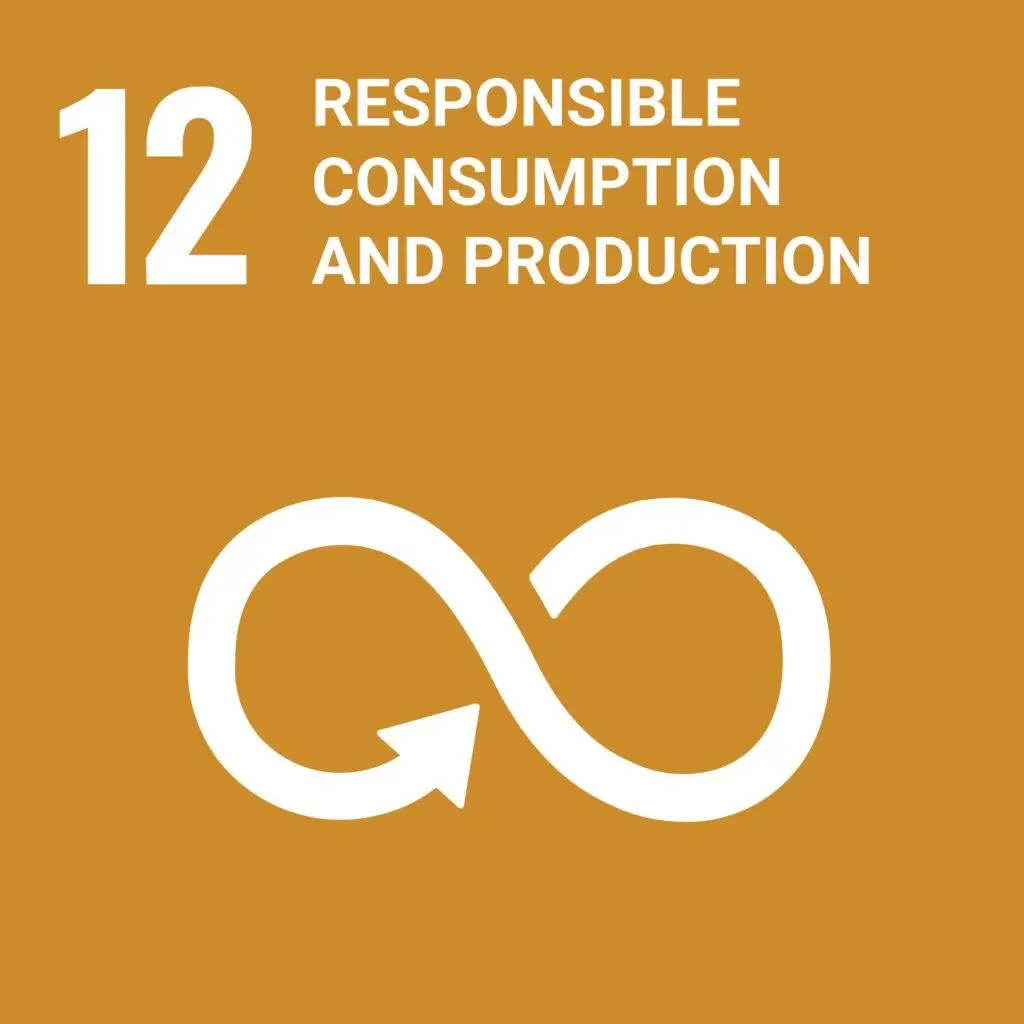 SDG 12: Responsible Consumption and Production