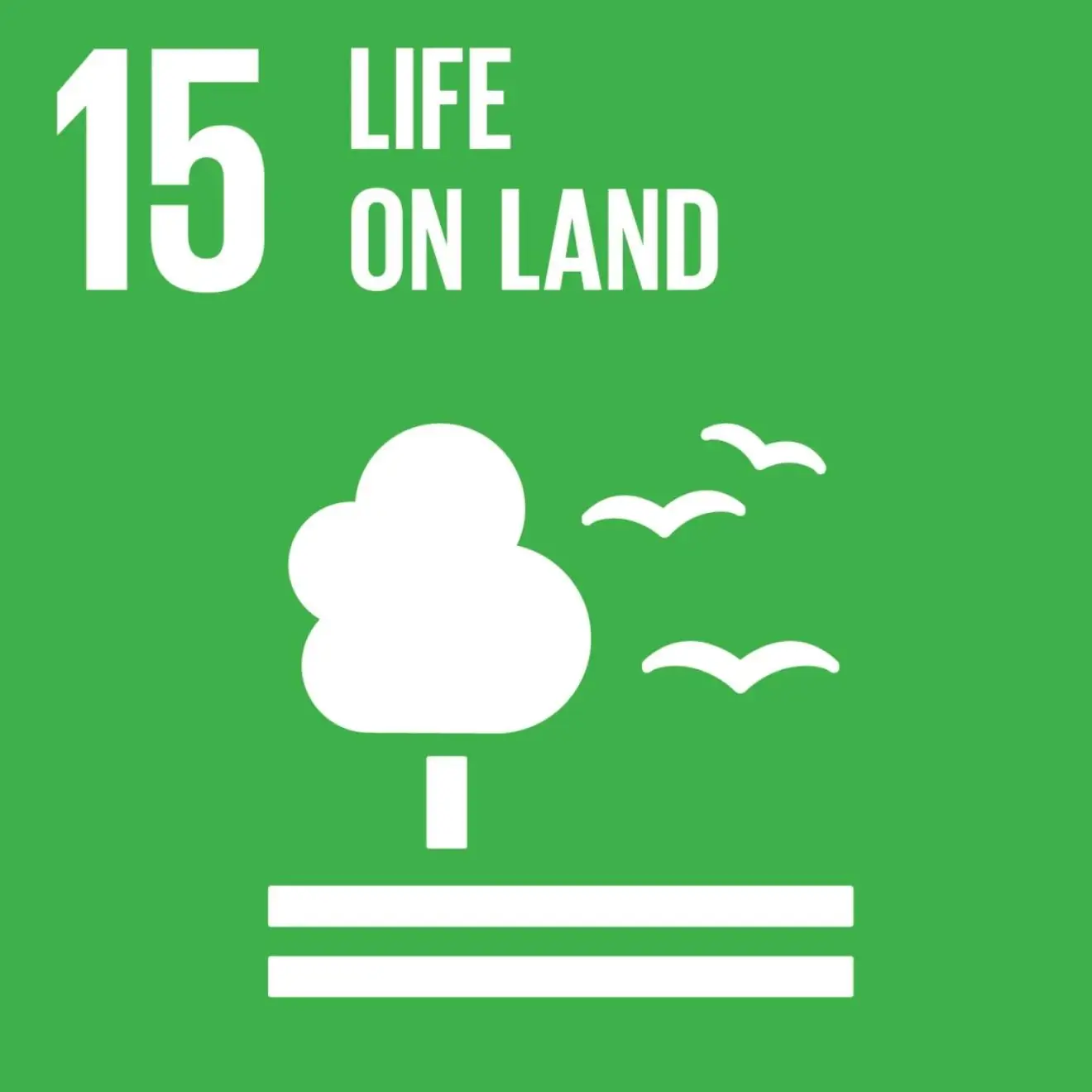 SDG 15: Life on Land
